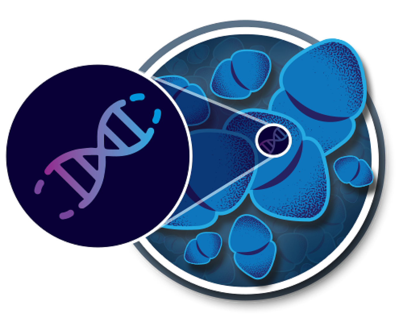 UVC dimerization
