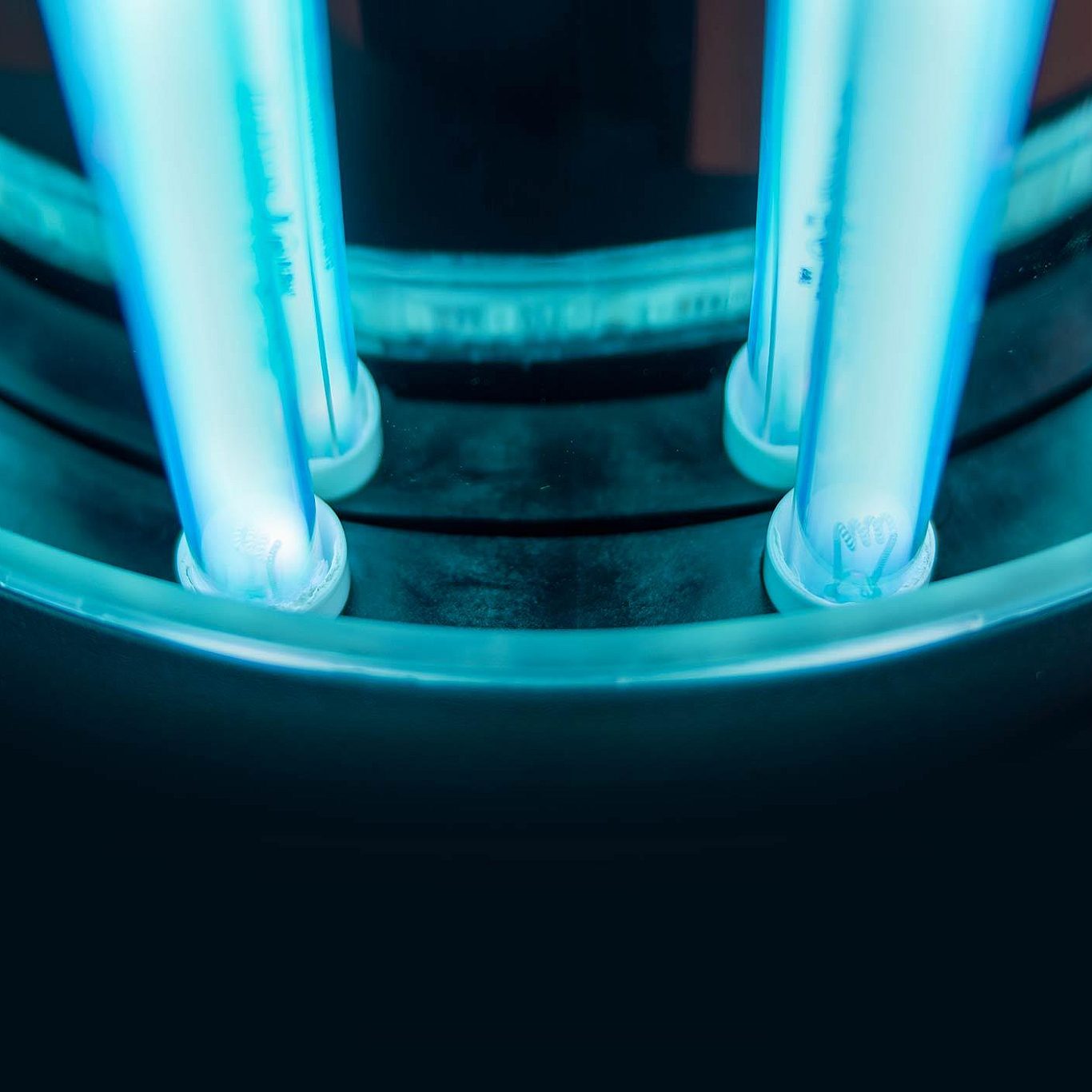 Blue UVC Light Bulbs