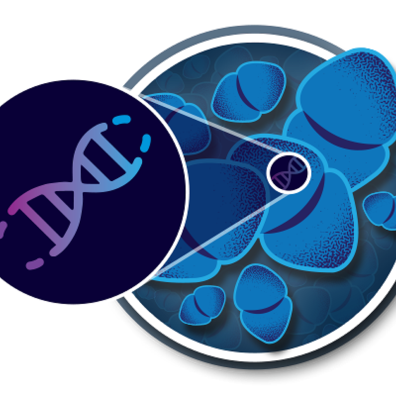 UV dimerazation graphic