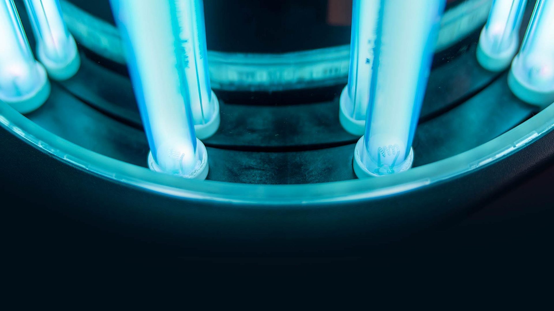 Blue UVC Light Bulbs