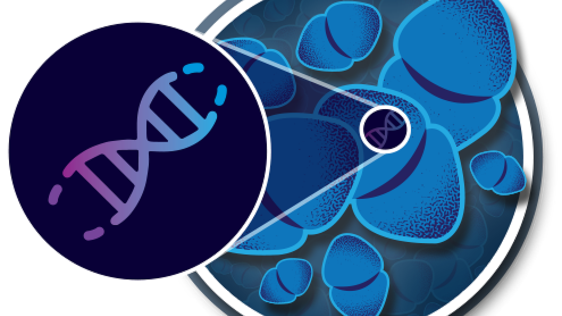 UV dimerazation graphic